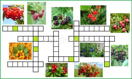 Кроссворды о ягодах, овощах и фруктах для учащихся начальной школы с  ответами